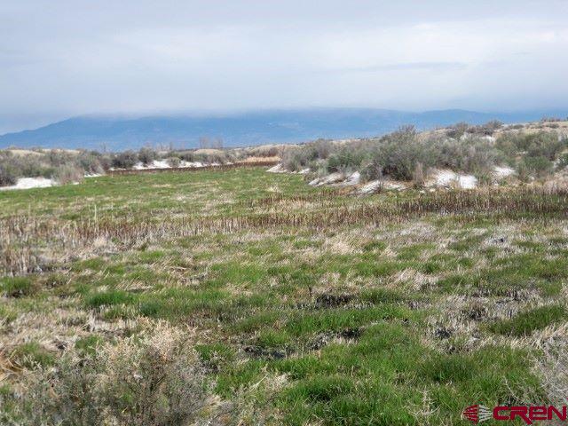 4795 6200th Road Olathe, CO 81425 - Photo 12 of 17