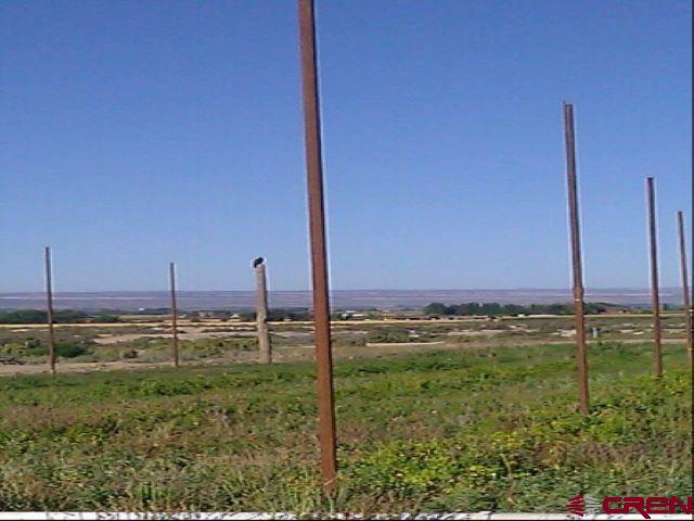 4795 6200th Road Olathe, CO 81425 - Photo 14 of 17