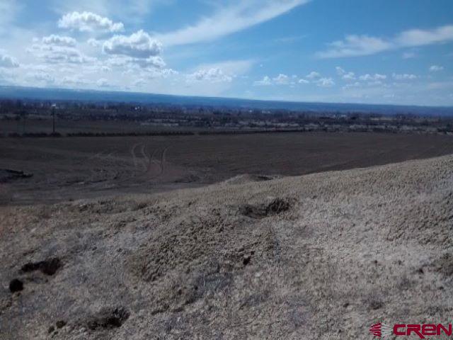 4795 6200th Road Olathe, CO 81425 - Photo 15 of 17