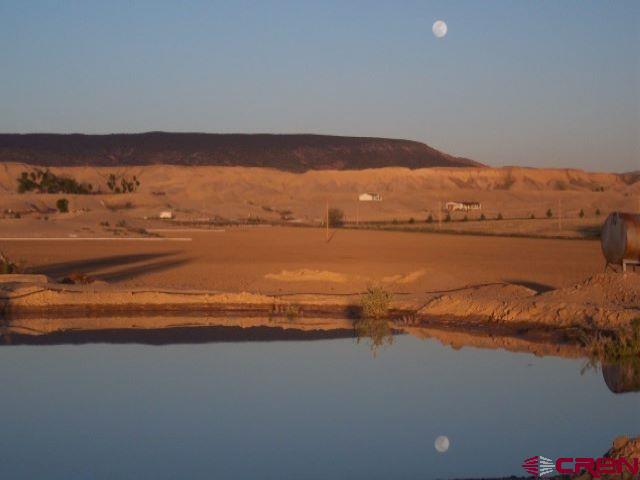 4795 6200th Road Olathe, CO 81425 - Photo 4 of 17