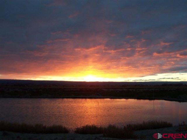 4795 6200th Road Olathe, CO 81425 - Photo 5 of 17