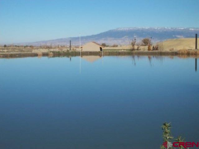 4795 6200th Road Olathe, CO 81425 - Photo 6 of 17