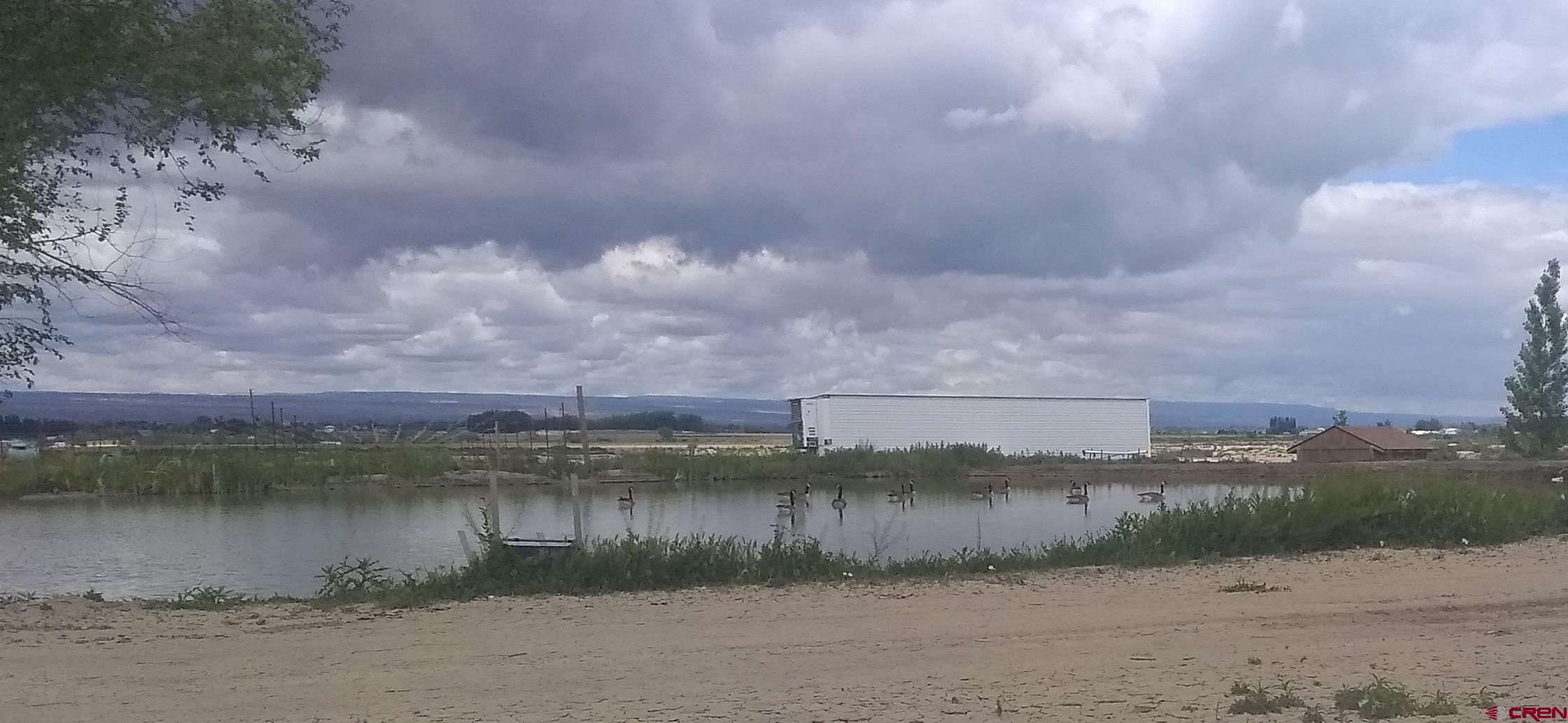 4795 6200th Road Olathe, CO 81425 - Photo 10 of 17