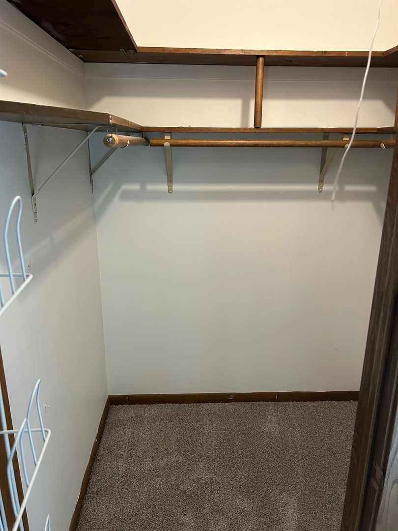 1125 Morningside Drive Elgin, IL 60123 - Photo 17 of 42 a view of closet