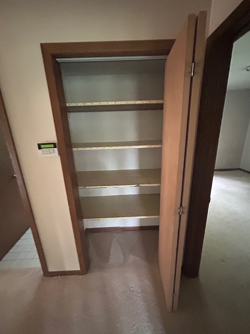 1125 Morningside Drive Elgin, IL 60123 - Photo 32 of 42 a view of walk in closet with empty racks