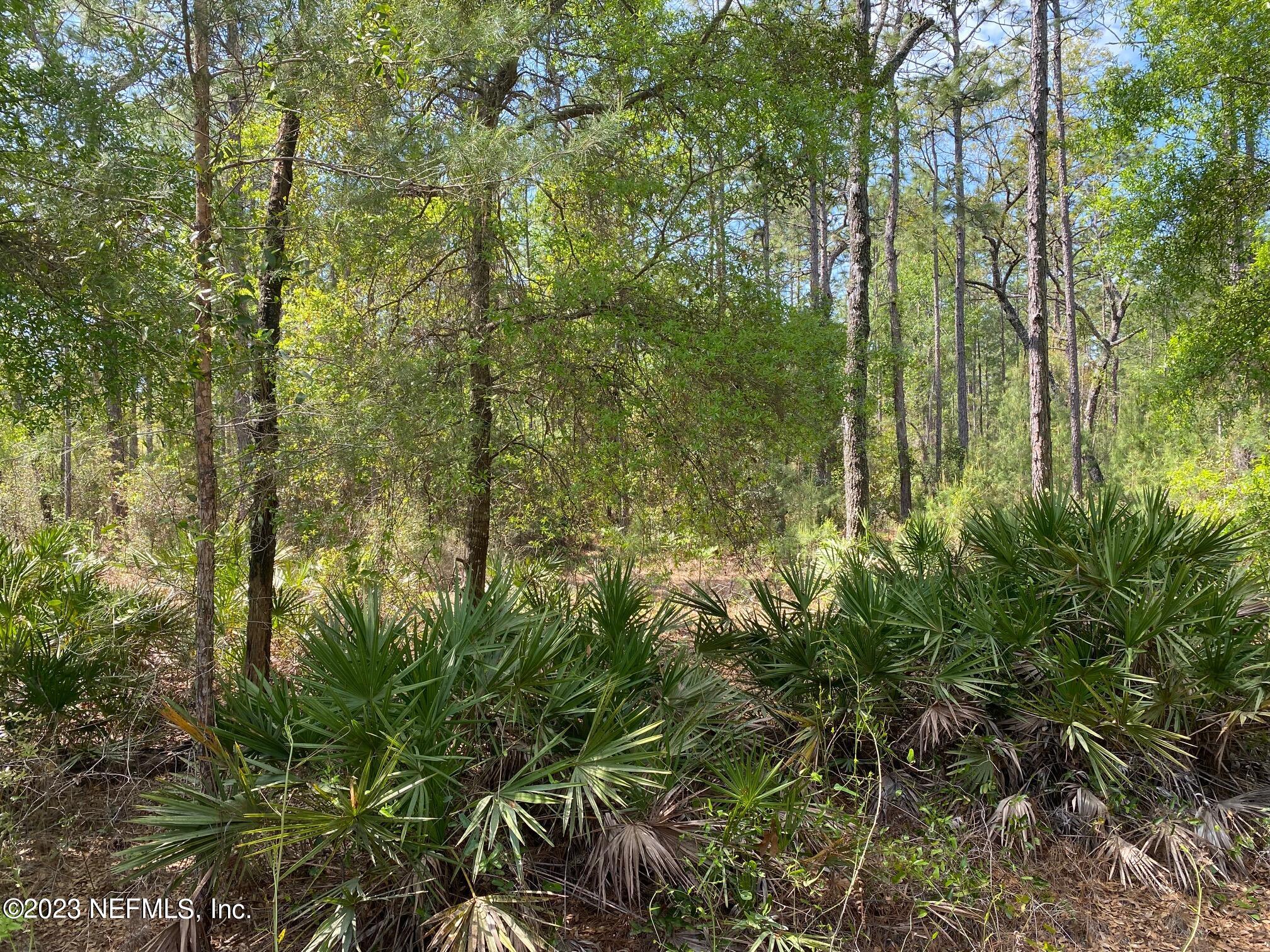 241 Baden Powell Road Hawthorne, FL 32640 - Photo 2 of 8 241 Baden Powell Rd b