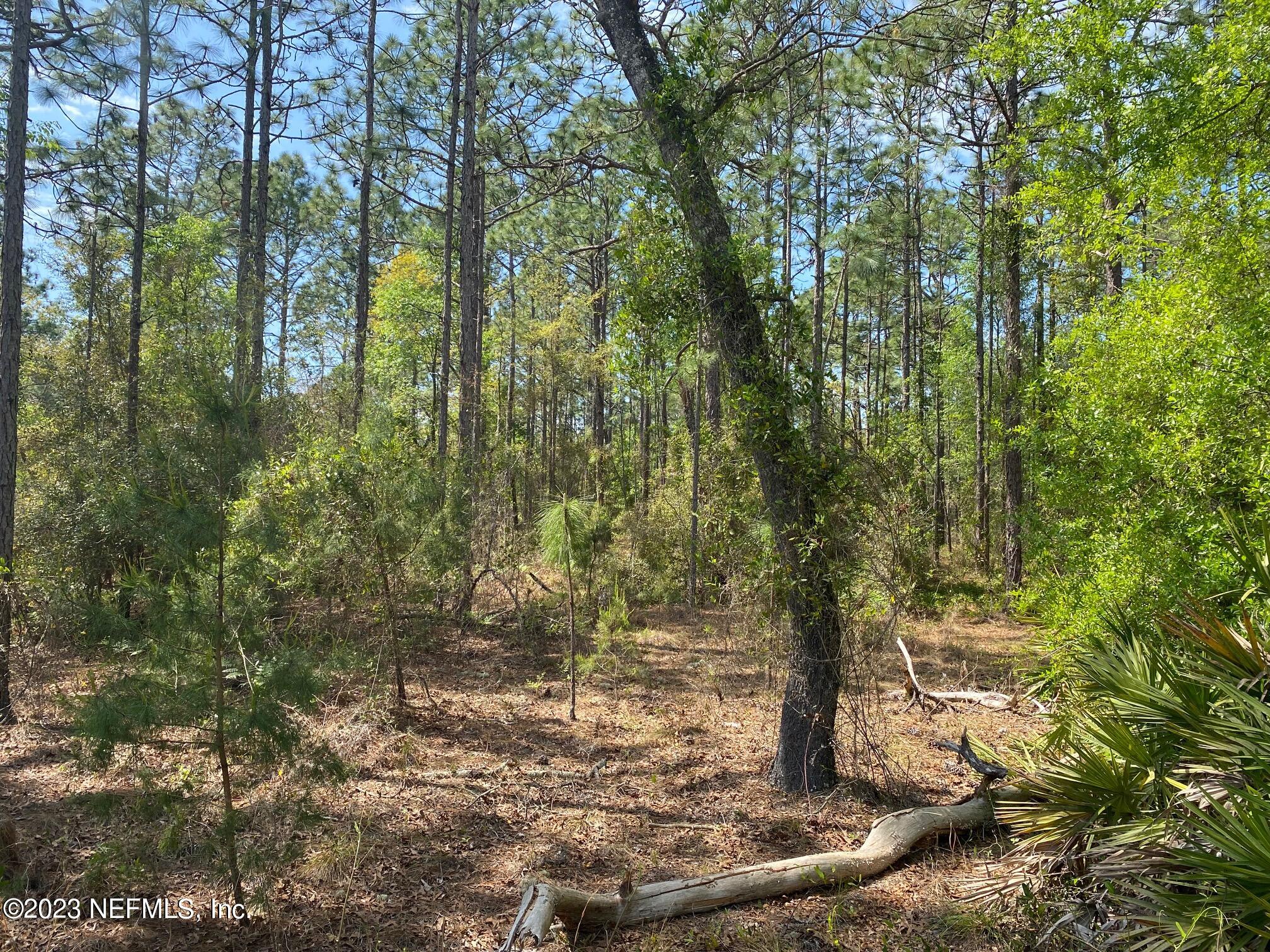 241 Baden Powell Road Hawthorne, FL 32640 - Photo 3 of 8 241 Baden Powell Rd c