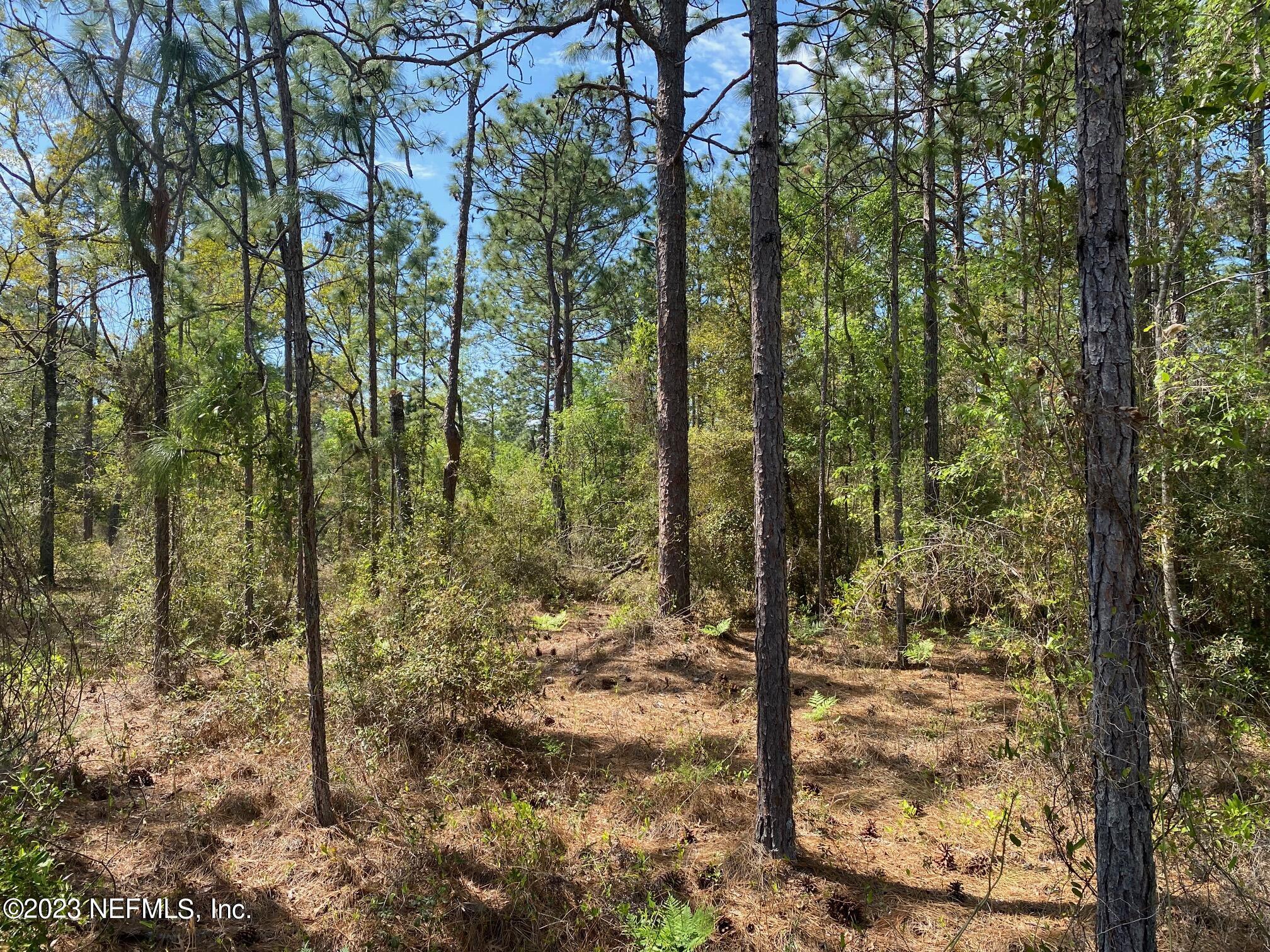 241 Baden Powell Road Hawthorne, FL 32640 - Photo 4 of 8 241 Baden Powell Rd d