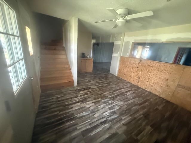 2310 Feddie Davis Road Ramer, TN 38367 - Photo 25 of 38 Unfurnished living room featuring healthy amount of natural light, a ceiling fan, and dark wood-style flooring