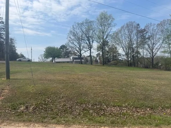 a view of a field with an trees