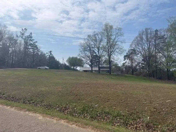 a view of a field with trees