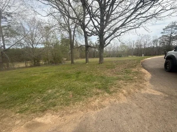 a view of dirt field with trees