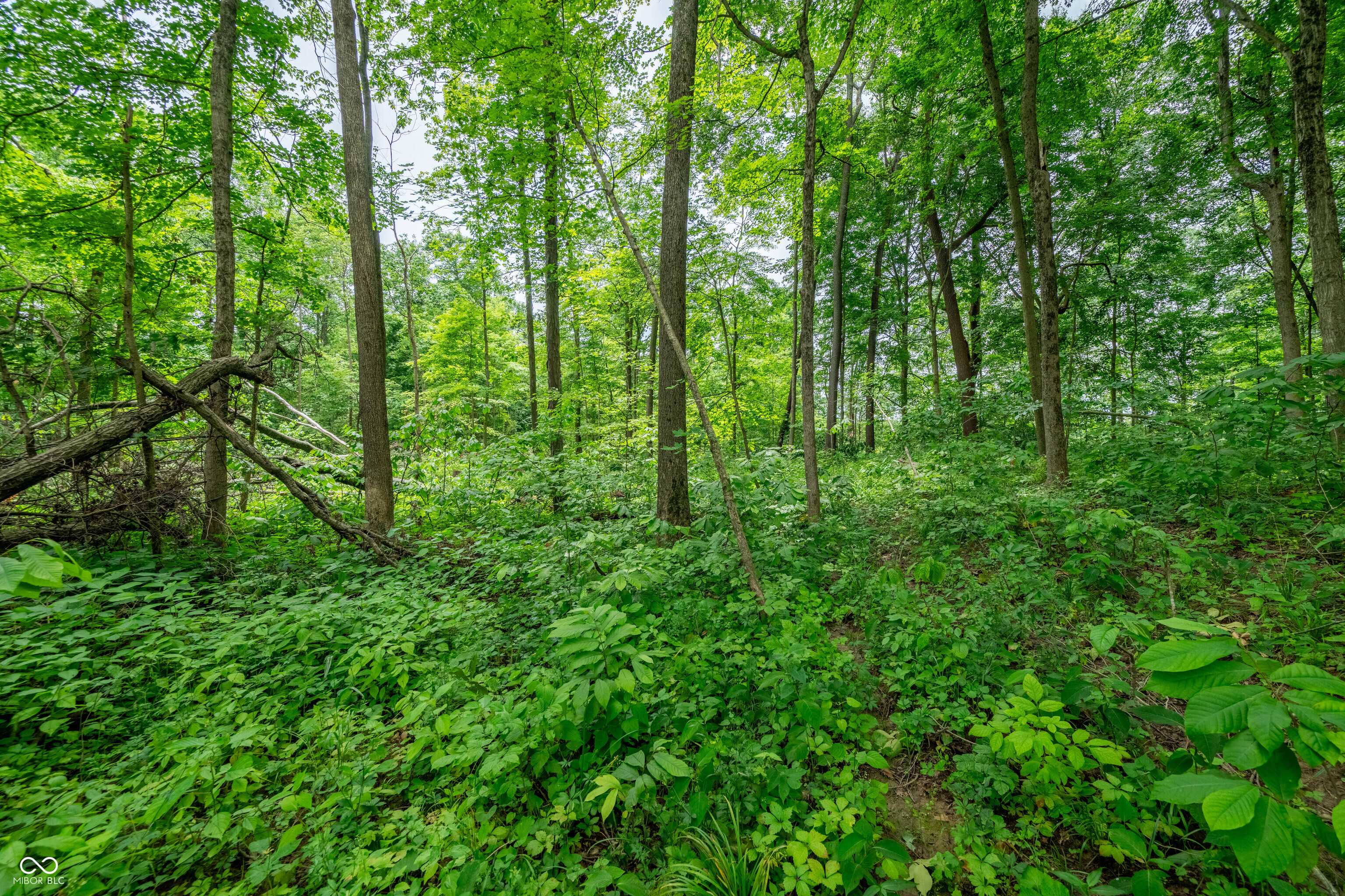 Tract 7 Hudson Hill Road Gosport, IN 47460 - Photo 11 of 19