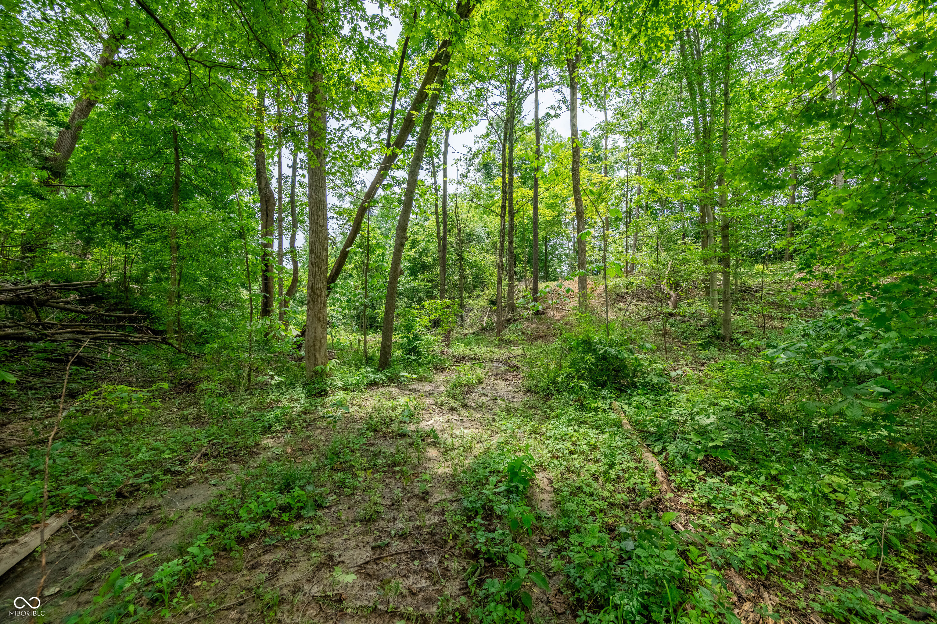 Tract 7 Hudson Hill Road Gosport, IN 47460 - Photo 14 of 19