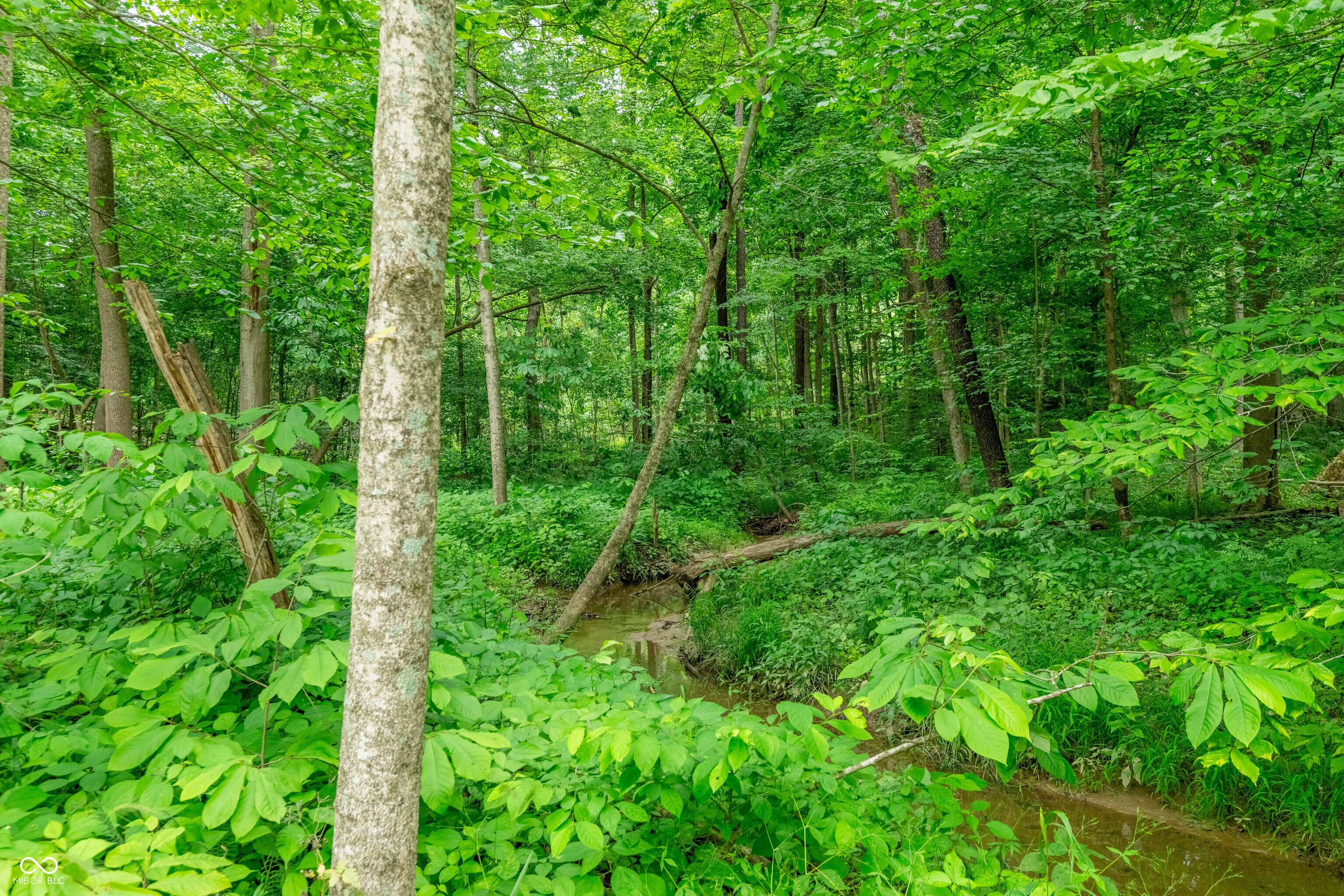 Tract 7 Hudson Hill Road Gosport, IN 47460 - Photo 9 of 19