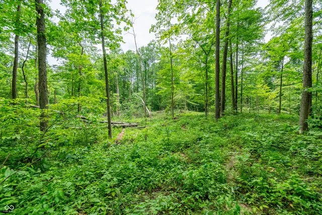 $87,500 | Tract 7 Hudson Hill Road, Gosport, IN 47460