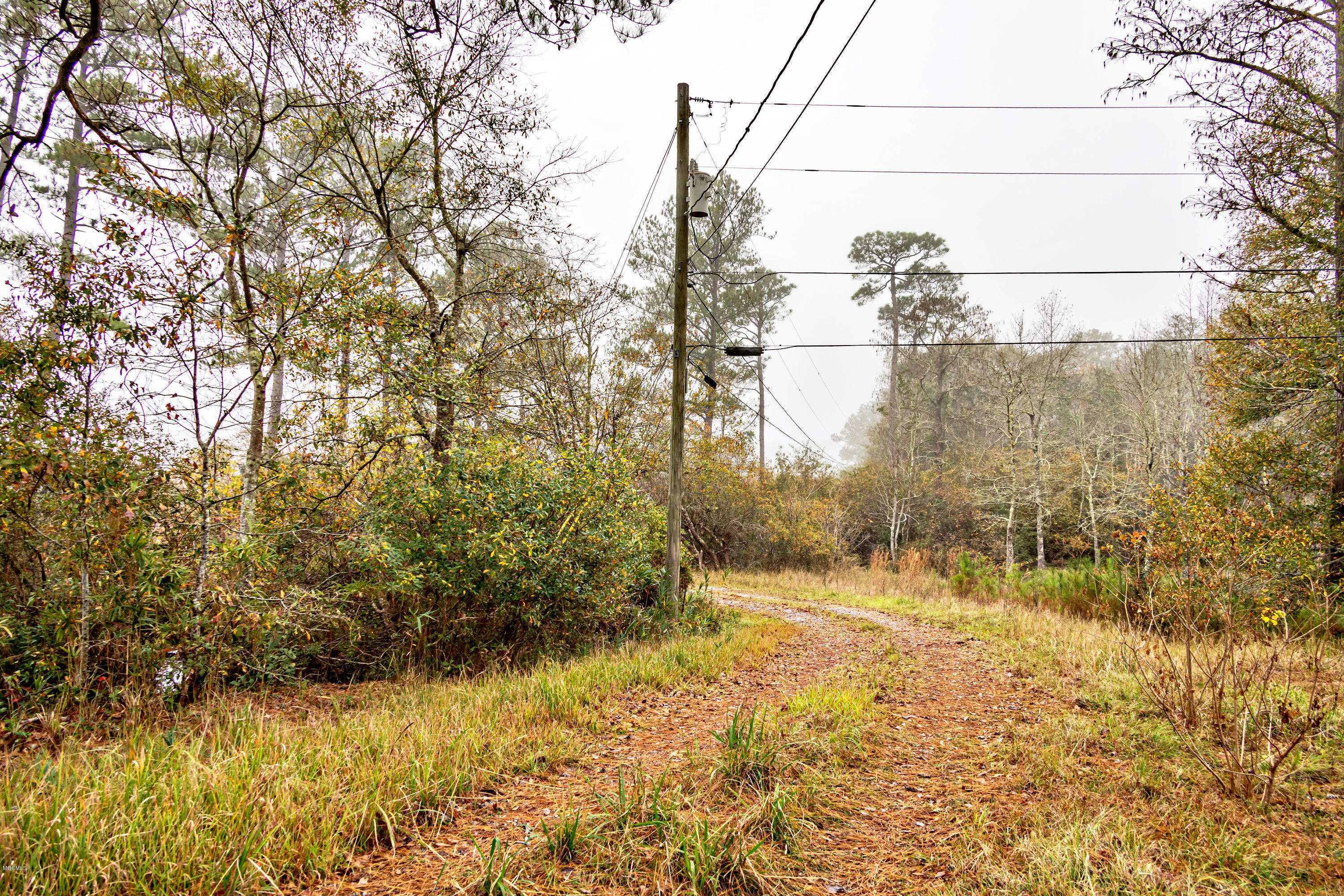 6012 East Lake Road Vancleave, MS 39565 - Photo 17 of 37 5T6A7031