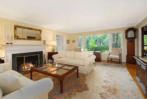 a living room with furniture and a fireplace