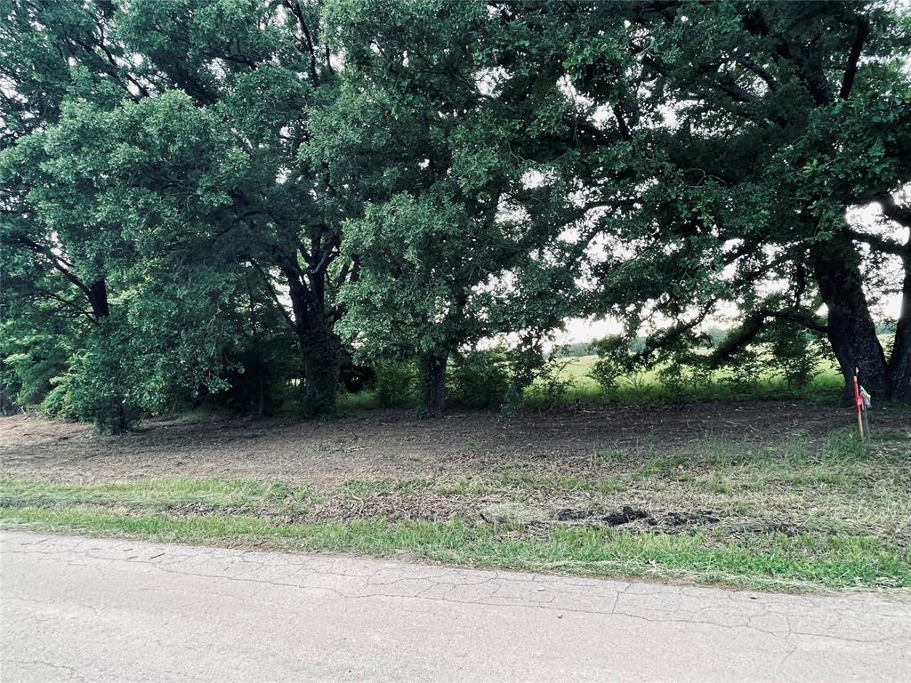 Lot 6 County Road 1560 Alba, TX 75410 - Photo 11 of 24 a view of outdoor space and yard