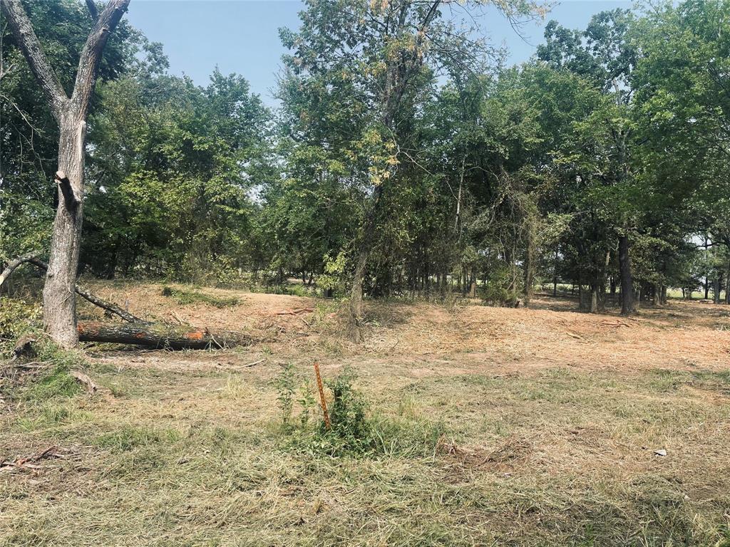 Lot 6 County Road 1560 Alba, TX 75410 - Photo 17 of 24 a view of a yard with a tree
