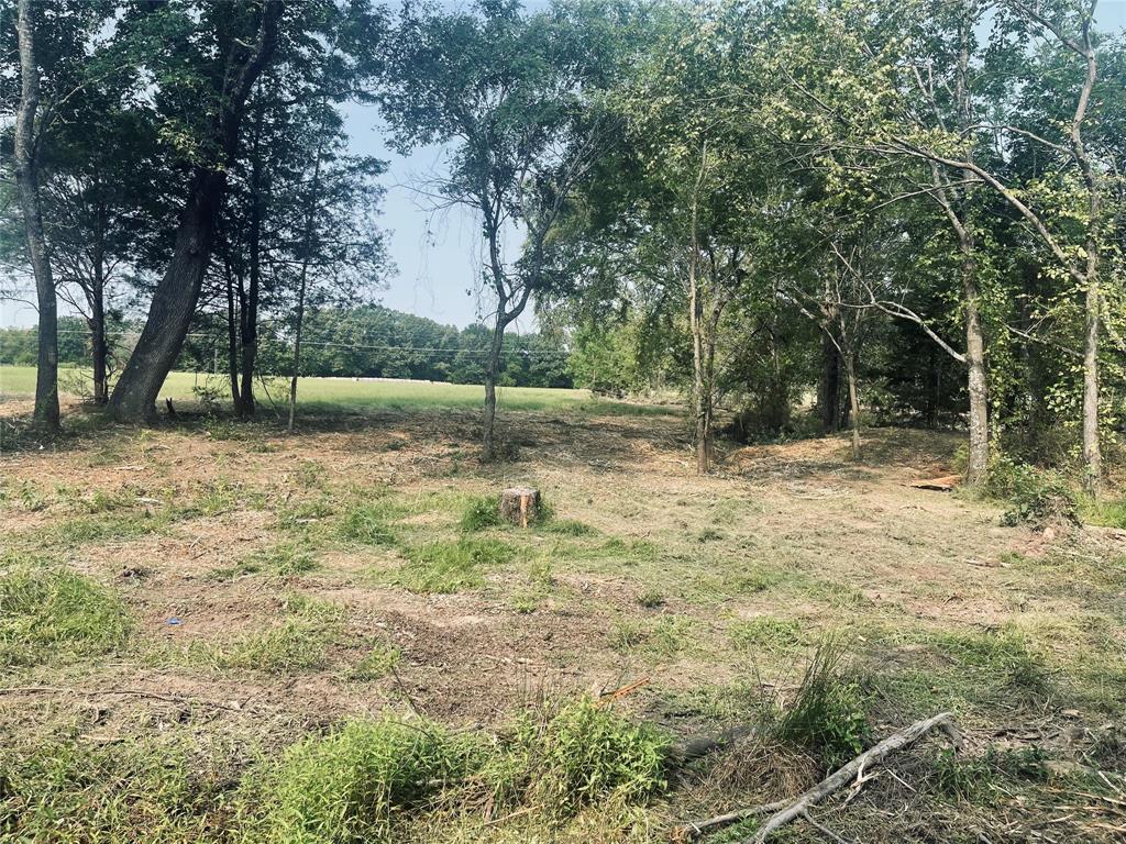 Lot 6 County Road 1560 Alba, TX 75410 - Photo 18 of 24 a backyard of a house with lots of green space