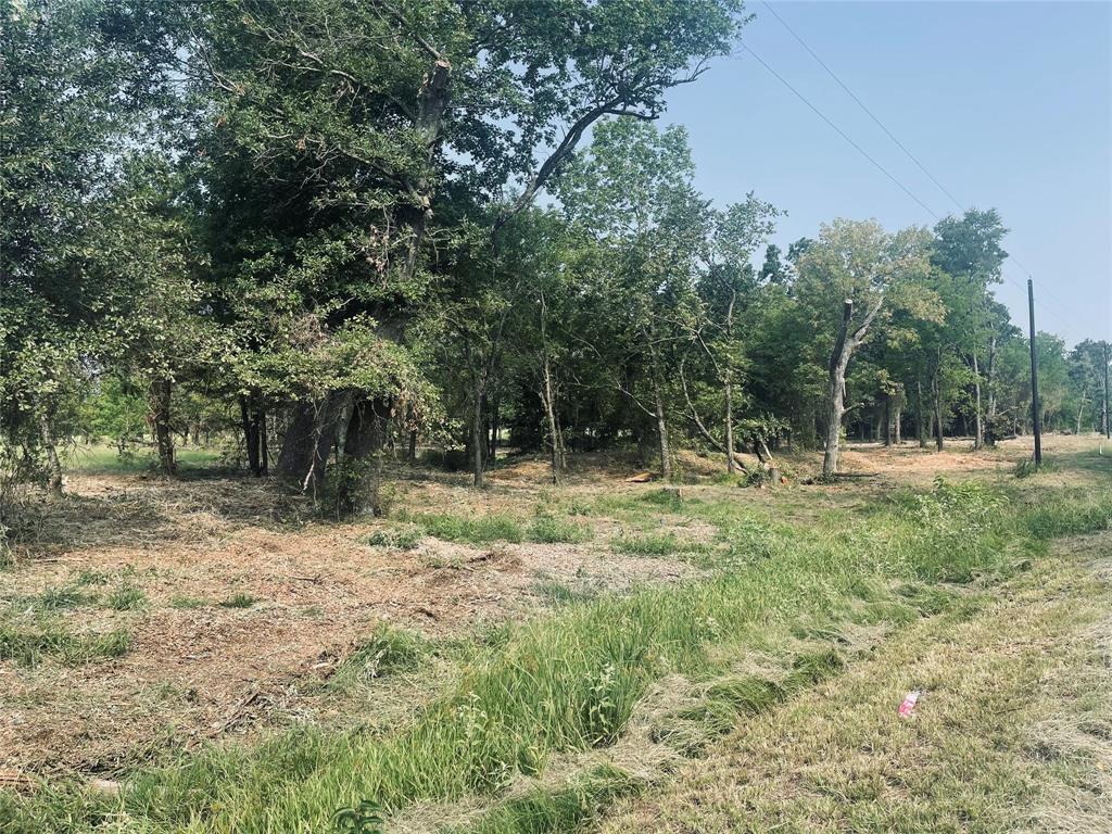 Lot 6 County Road 1560 Alba, TX 75410 - Photo 20 of 24 a backyard of a house with lots of green space