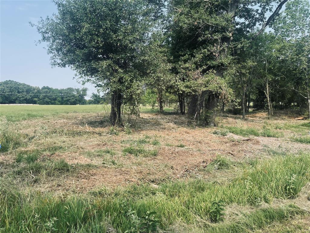 Lot 6 County Road 1560 Alba, TX 75410 - Photo 21 of 24 a backyard of a house with lots of green space