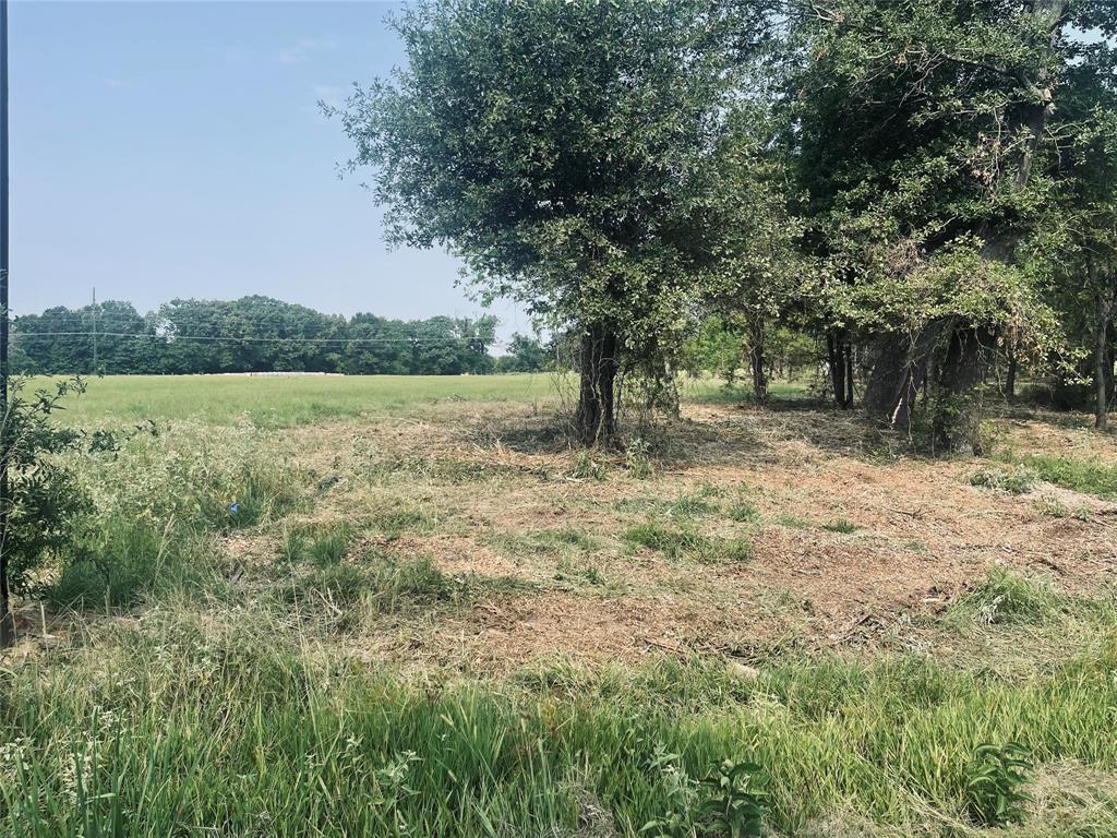 Lot 6 County Road 1560 Alba, TX 75410 - Photo 22 of 24 a view of a yard with a tree