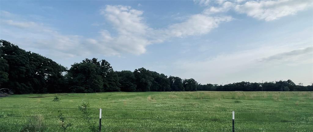Lot 6 County Road 1560 Alba, TX 75410 - Photo 6 of 24 a view of a grassy field