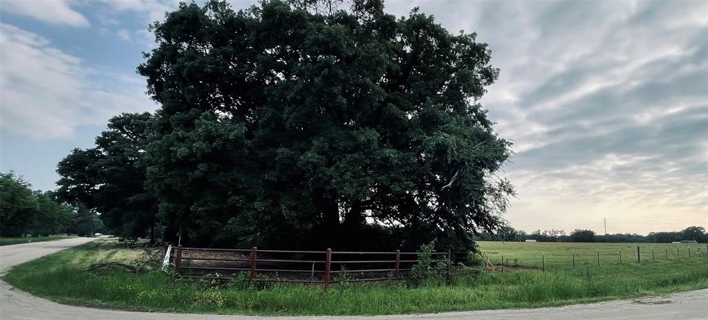 Lot 6 County Road 1560 Alba, TX 75410 - Photo 10 of 24 a view of a garden