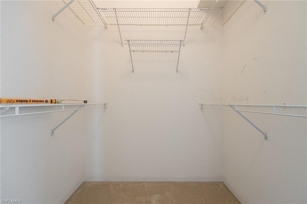 6927 Satinleaf Road North, Unit 203 Naples, FL 34109 - Photo 24 of 39 Walk in closet with light carpet