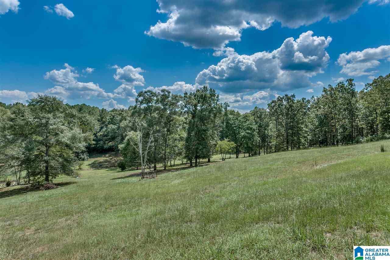 184 Jenkins Farm Road Helena, AL 35080 - Photo 20 of 25