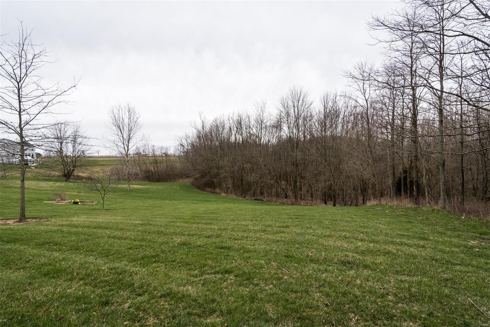 111 Stevenson Road Lebanon, IL 62254 - Photo 15 of 61