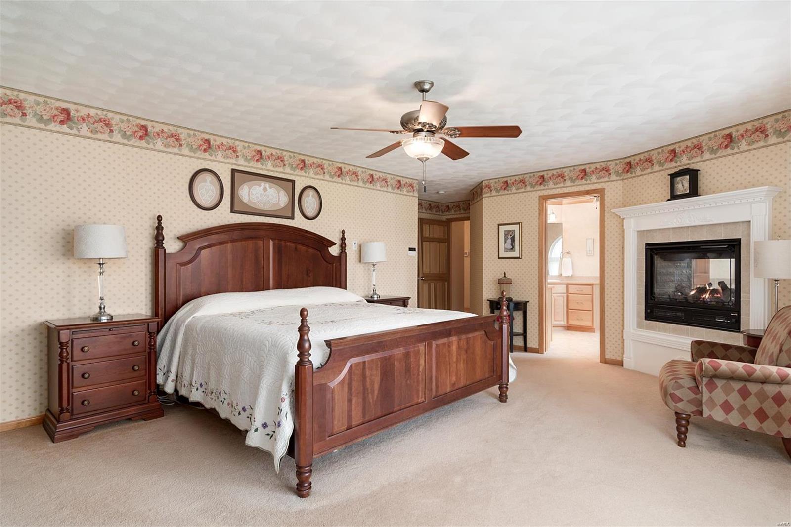 111 Stevenson Road Lebanon, IL 62254 - Photo 34 of 61