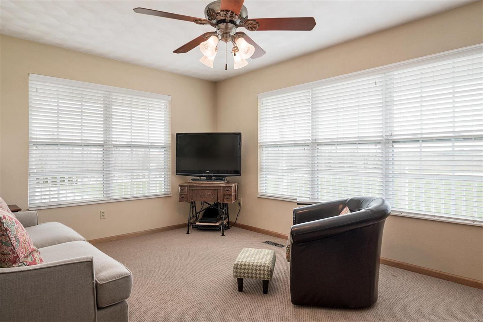111 Stevenson Road Lebanon, IL 62254 - Photo 44 of 61