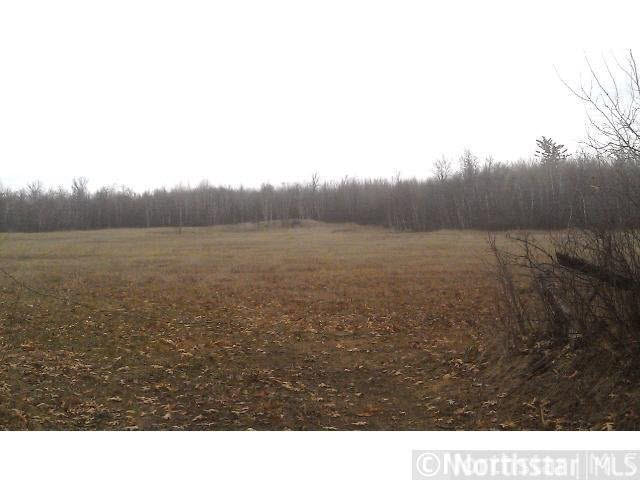 Tbd Mail Rte Road Garrison, MN 56450 - Photo 2 of 2 Gallery Image 2