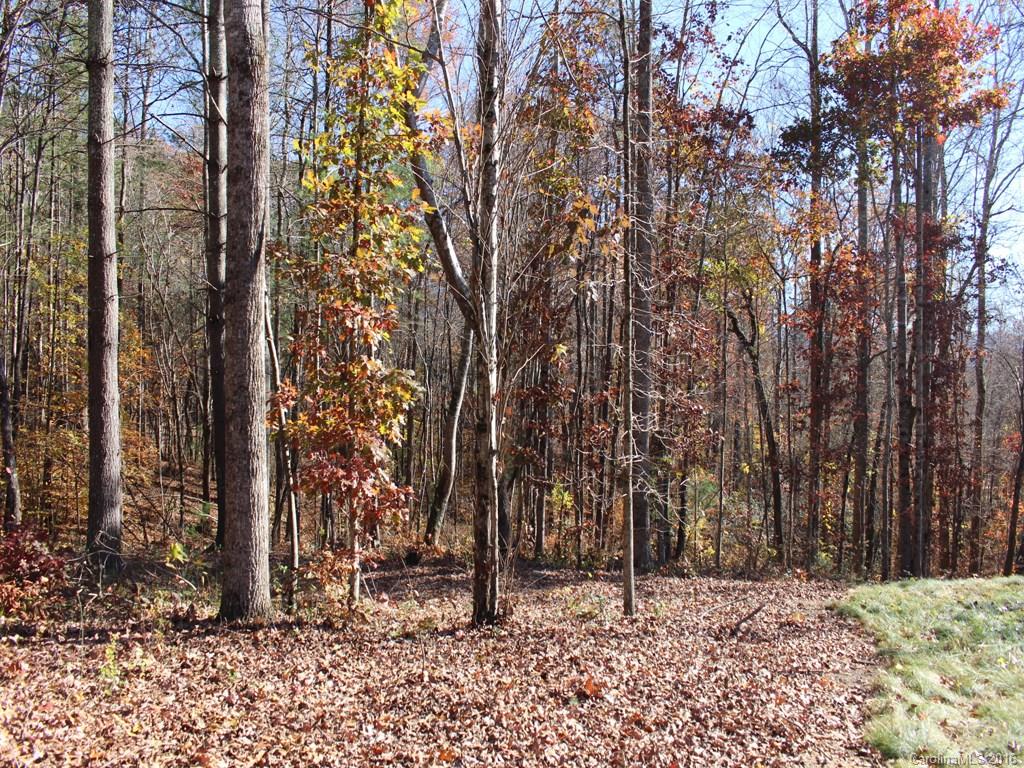 0 Monte Vista Road Candler, NC 28715 - Photo 8 of 8 Gallery Image 8