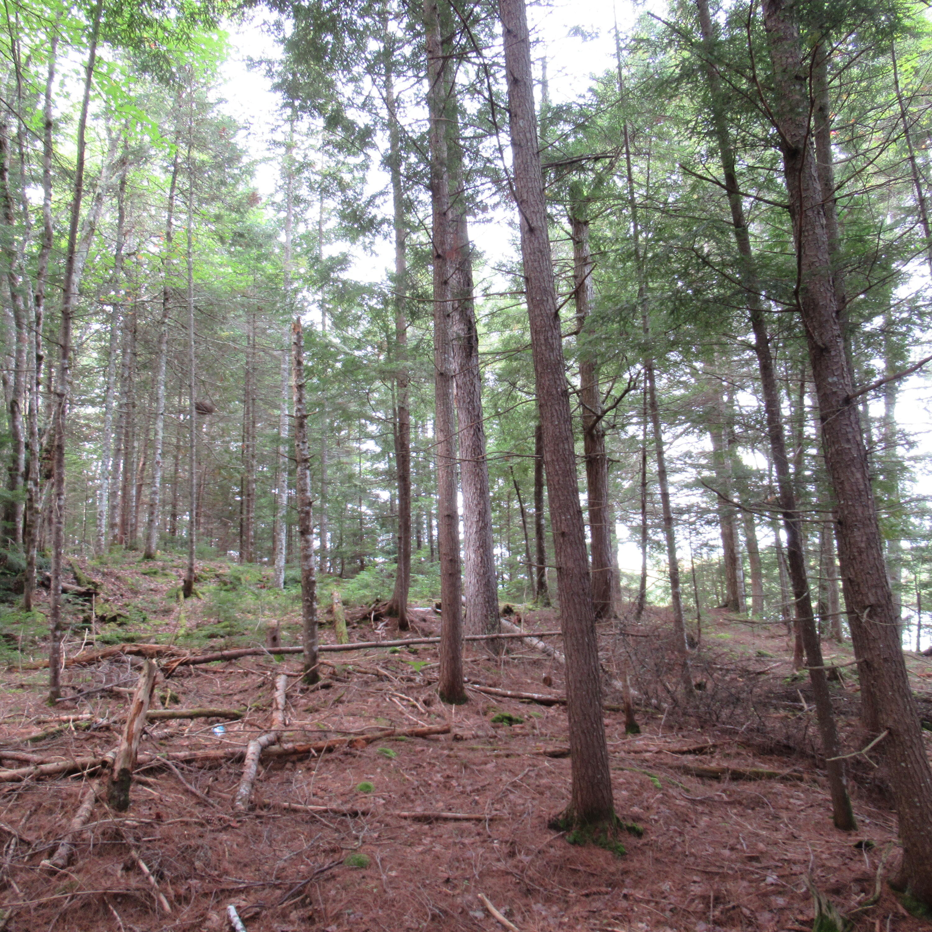 Map7-lot57 Map7-lot57 Manhanock Pond Sangerville, ME 04479 - Photo 8 of 13 109