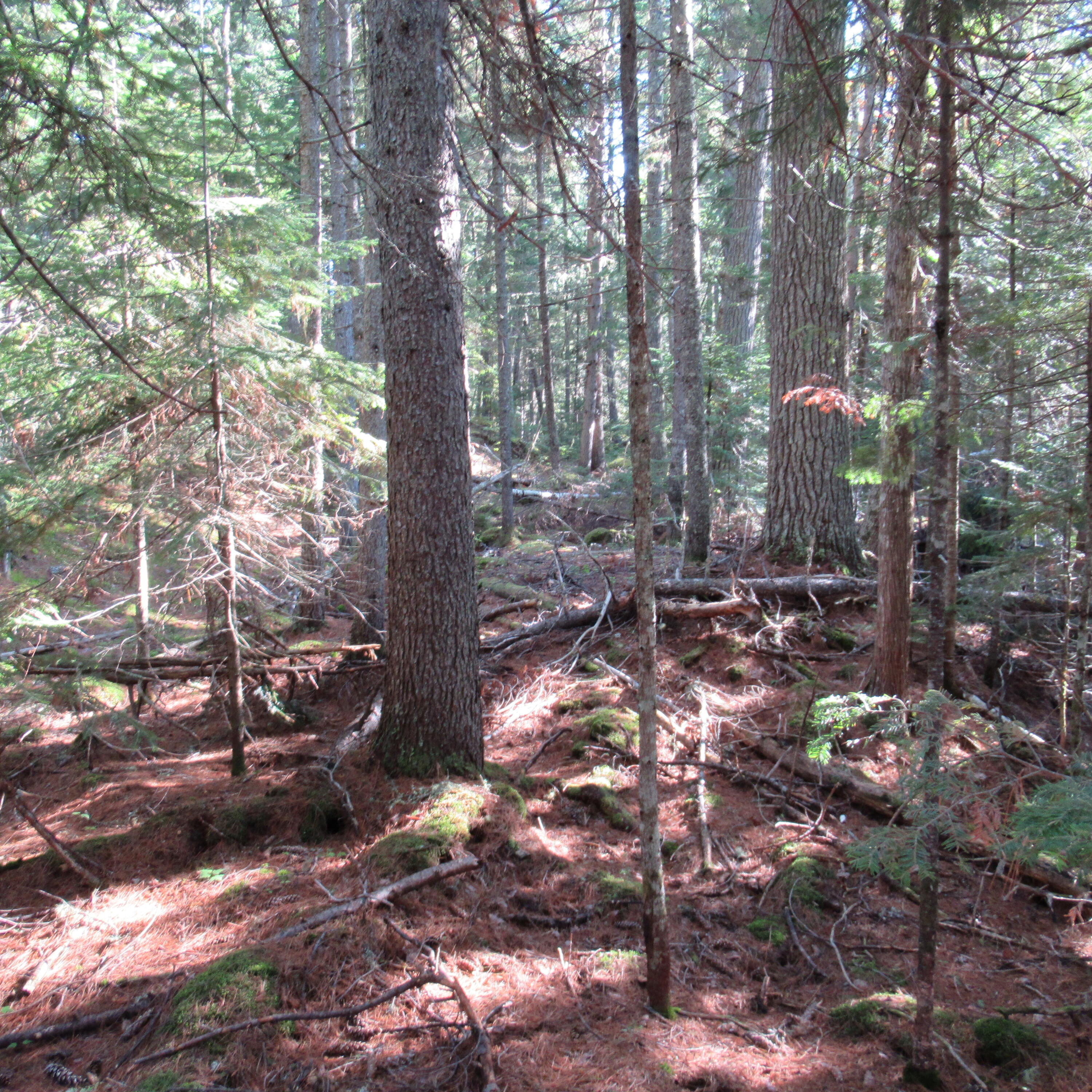 Map7-lot57 Map7-lot57 Manhanock Pond Sangerville, ME 04479 - Photo 10 of 13 018