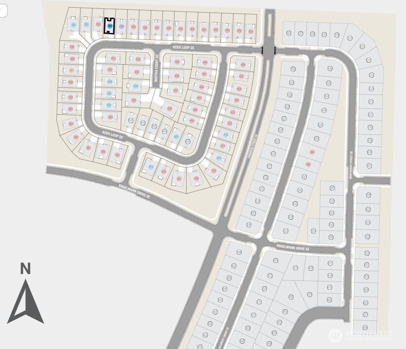 2526 Acer Loop Southeast Lacey, WA 98513 - Photo 13 of 19 a close up of a street sign