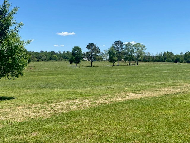 1079 Mt Herman Road Osyka, MS 39657 - Photo 32 of 52 Photo 32