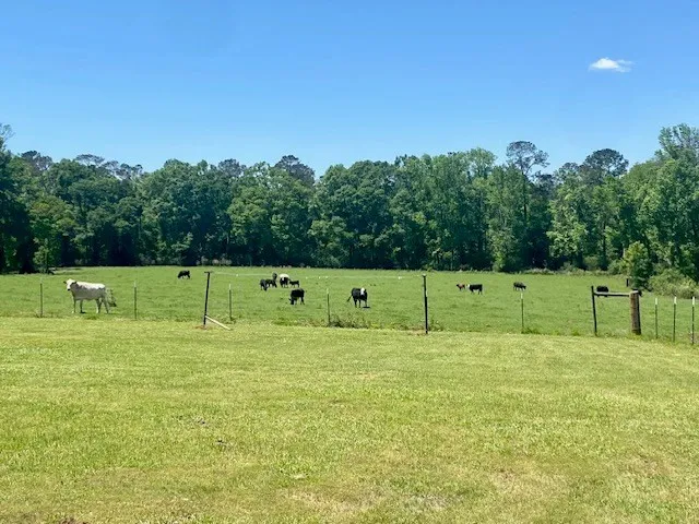 $649,500 | 1079 Mt Herman Road, Osyka, MS 39657