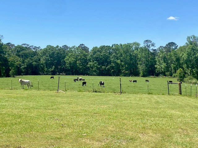 1079 Mt Herman Road Osyka, MS 39657 - Photo 42 of 52 Photo 42