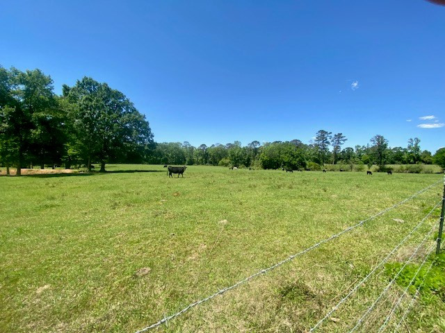 1079 Mt Herman Road Osyka, MS 39657 - Photo 50 of 50 Photo 52
