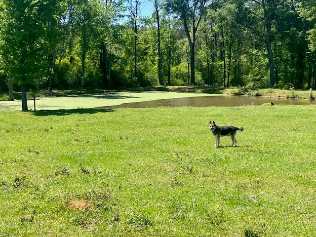 1079 Mt Herman Road Osyka, MS 39657 - Photo 51 of 52 Photo 51