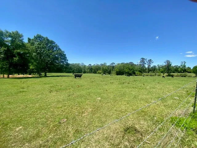 $720,000 | 1079 Mt Herman Road, Osyka, MS 39657