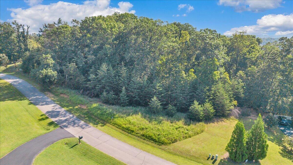 Lot 26 Palmetto Bluff Road Hardy, VA 24101 - Photo 20 of 22 01-DJI_20260901112212_0014_D