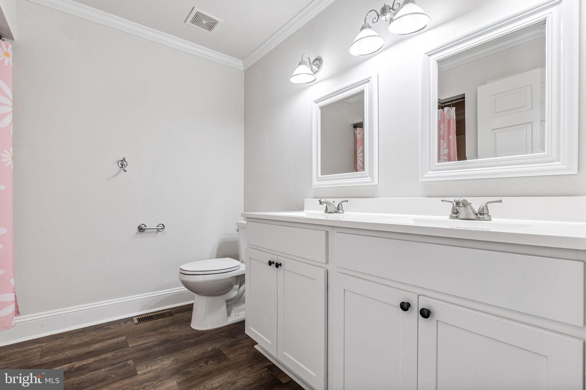 16352 Bullocks Road Ruther Glen, VA 22546 - Photo 17 of 29 a bathroom with a sink toilet and a mirror