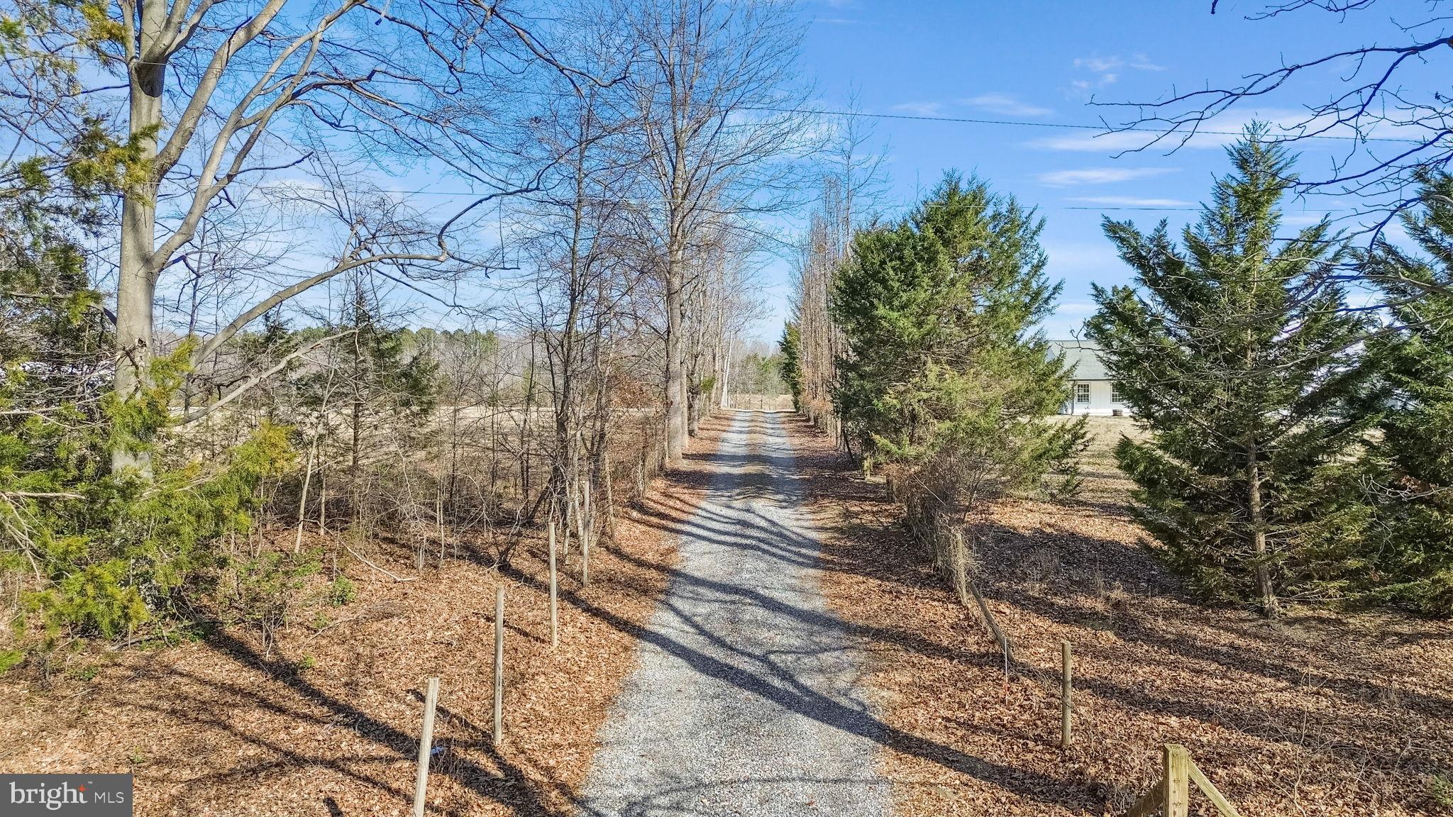 16352 Bullocks Road Ruther Glen, VA 22546 - Photo 2 of 29 a view of a yard with plants and trees