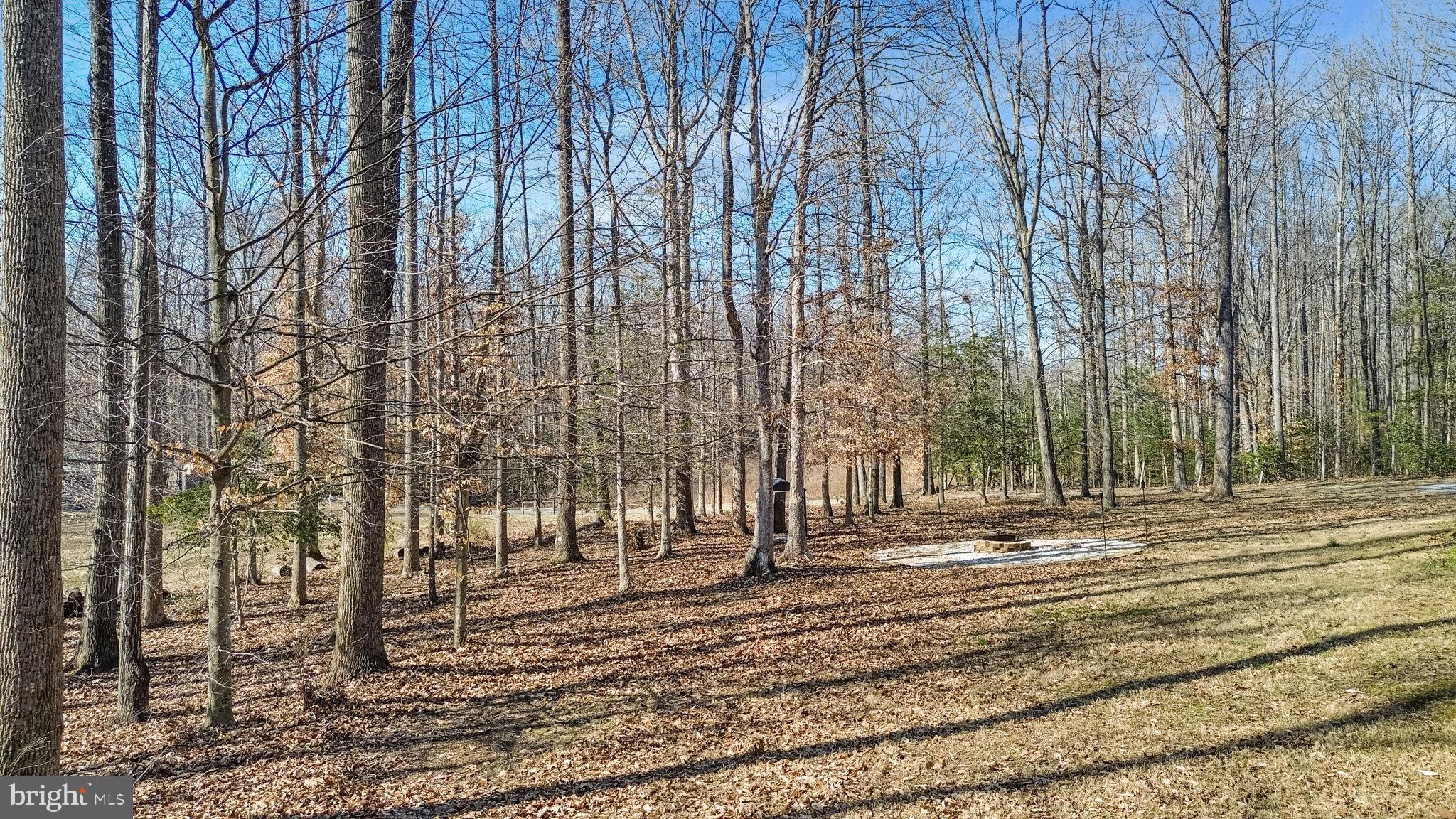 16352 Bullocks Road Ruther Glen, VA 22546 - Photo 27 of 29 a view of outdoor space with street view